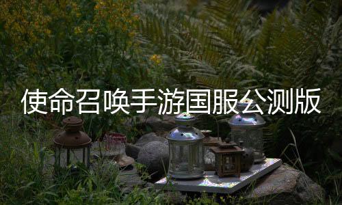 使命召唤手游国服公测版