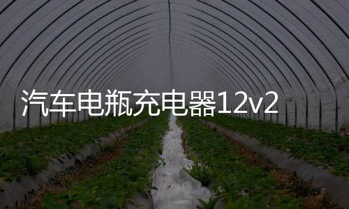 汽车电瓶充电器12v24v伏摩托车蓄电池修复型大功率启停电瓶充电机