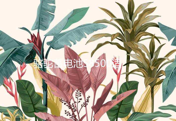 骆驼蓄电池58500适用五菱之光荣光鸿途切洛基野马12V48AH汽车电瓶